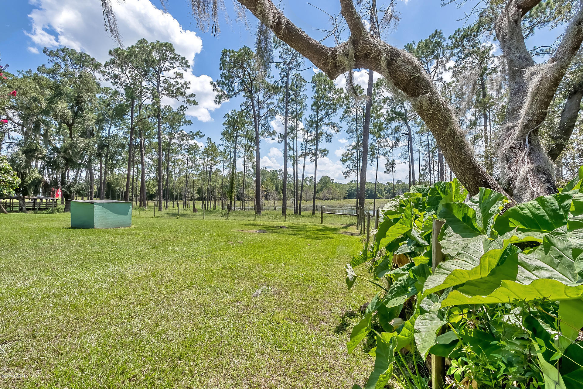 4270 Marsh Road DeLand, FL 32724 - Photo 54 of 67 4270-8