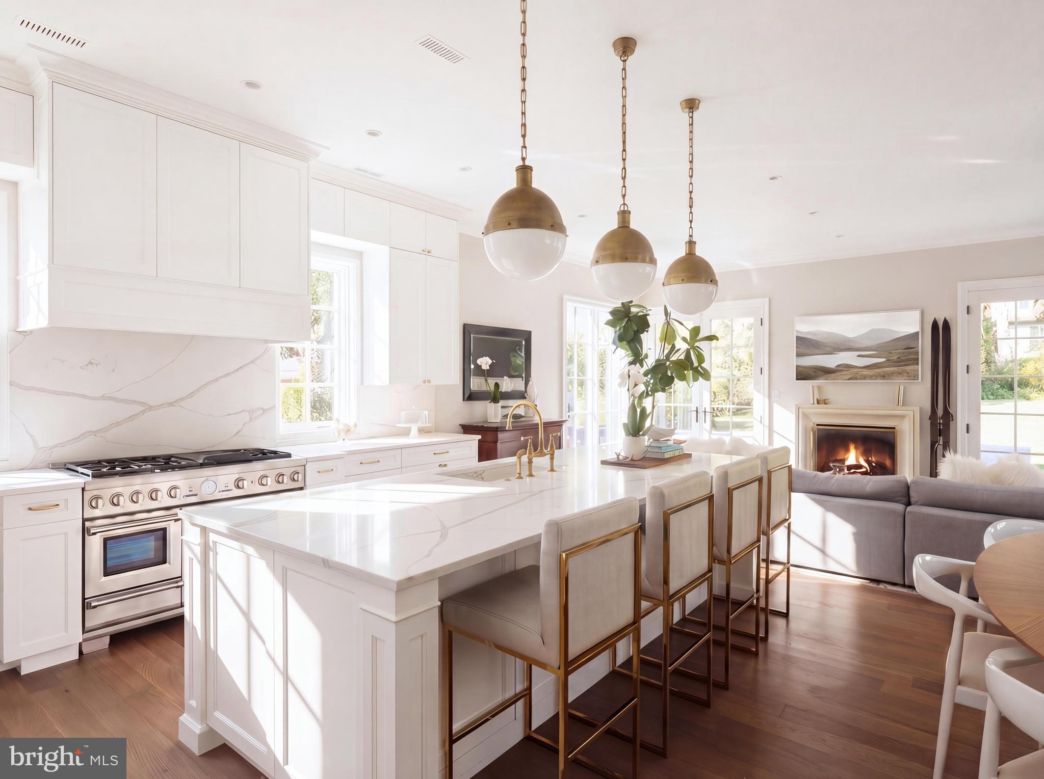 1704 Russell Road Alexandria, VA 22302 - Photo 10 of 44 Sunlit Elegance in a Modern Kitchen