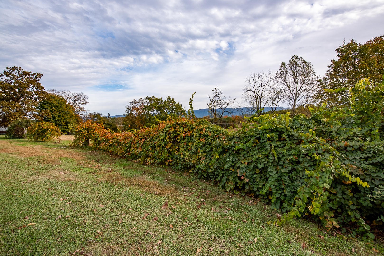 5408 Hutton Ridge Road Maryville, TN 37801 - Photo 31 of 38 Gallery Image 31
