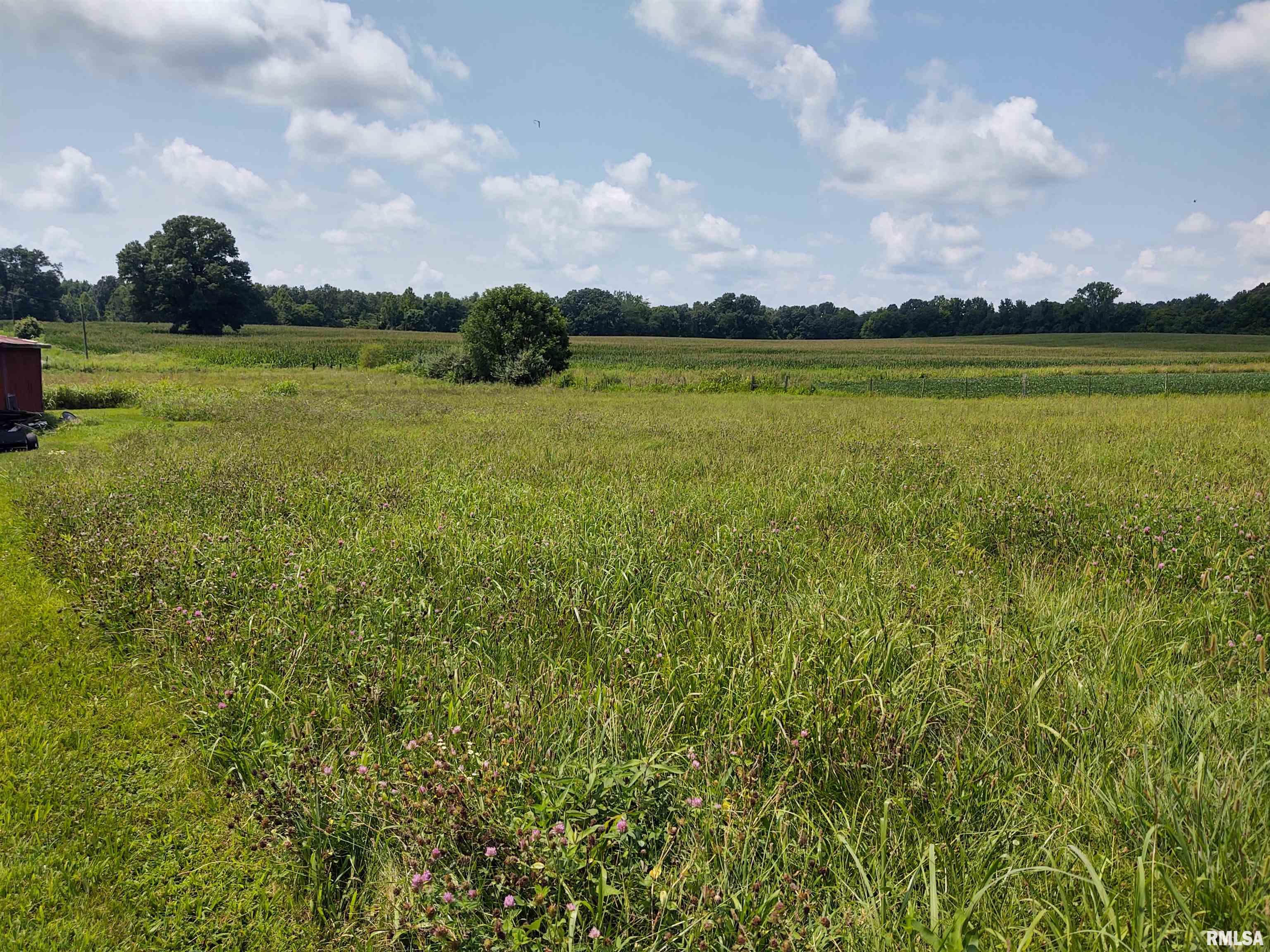 785 Mt Zion Road Vienna, IL 62995 - Photo 26 of 31