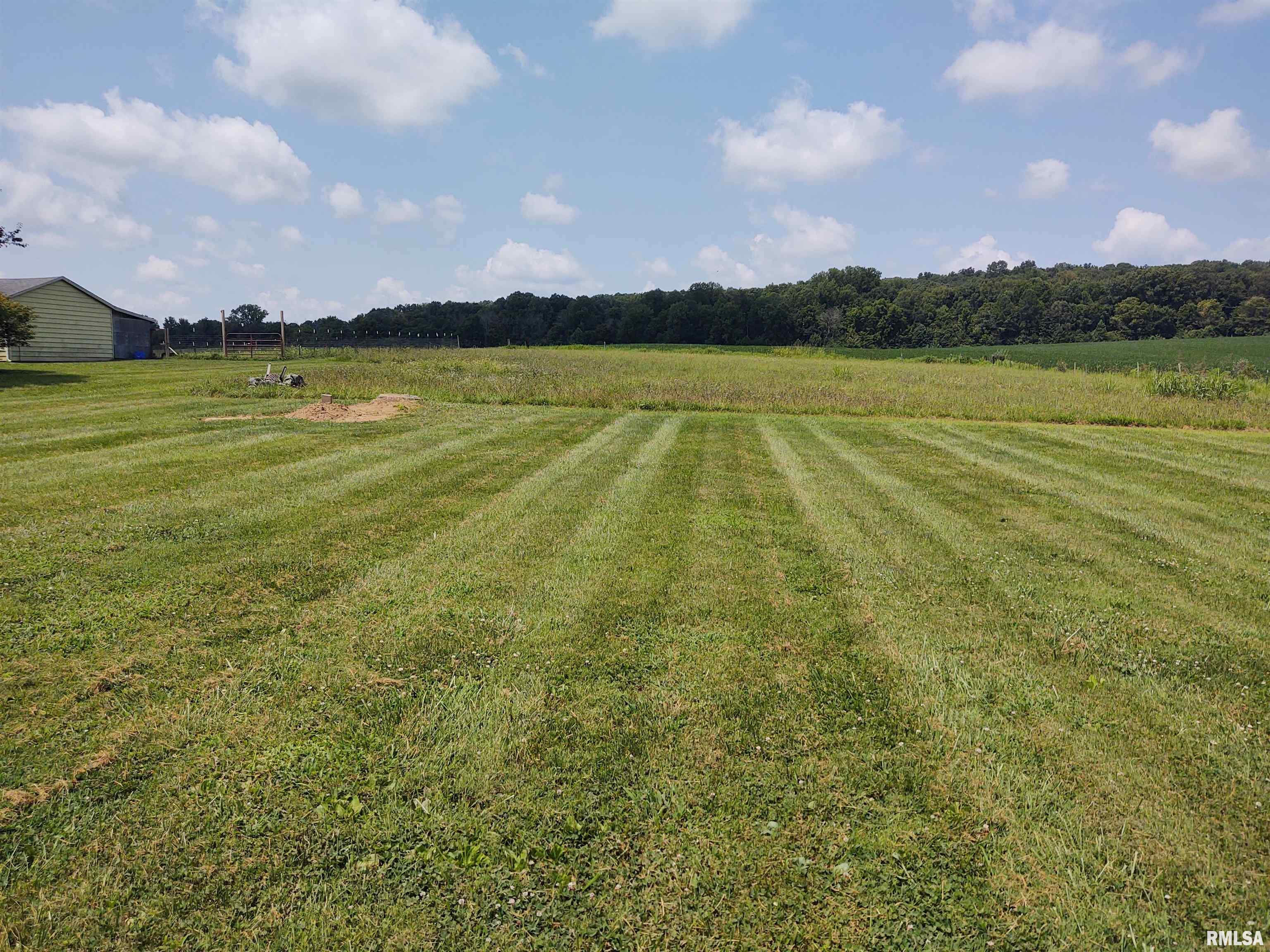785 Mt Zion Road Vienna, IL 62995 - Photo 4 of 31