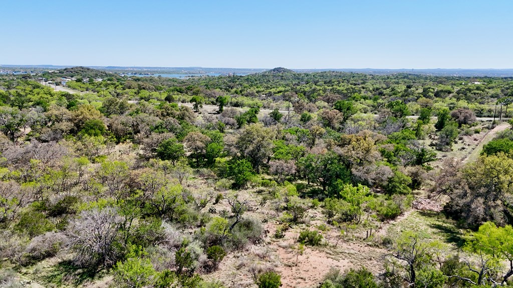 1 Ranch Road 2233 Kingsland, TX 78639 - Photo 12 of 36 a view of a green field with lots of bushes