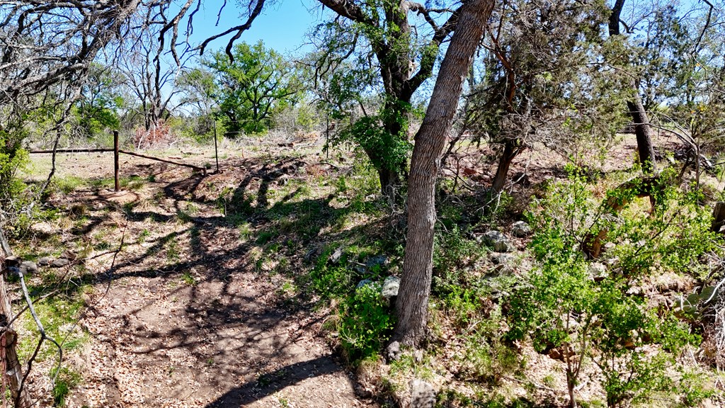 1 Ranch Road 2233 Kingsland, TX 78639 - Photo 15 of 36
