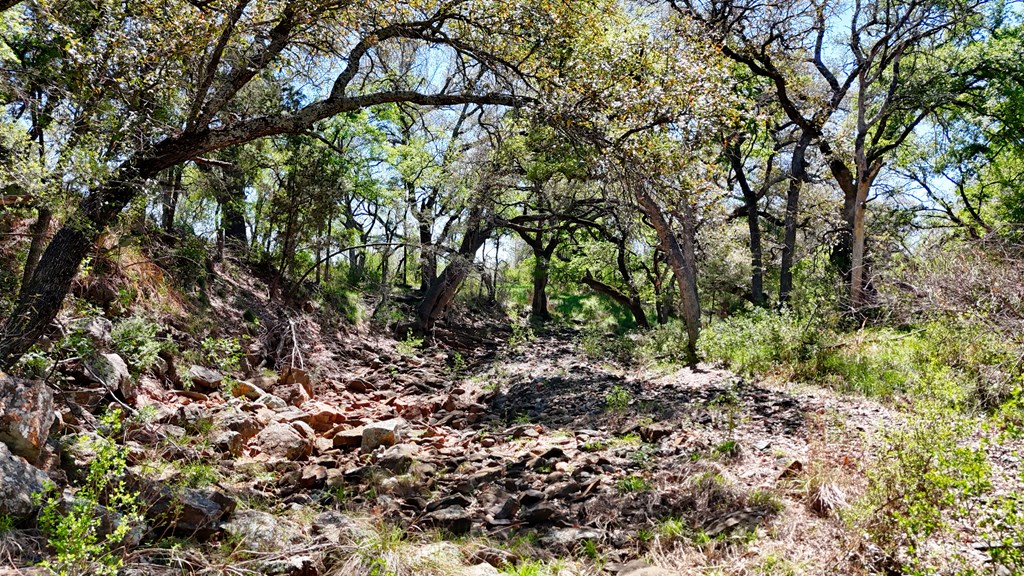 1 Ranch Road 2233 Kingsland, TX 78639 - Photo 17 of 36 a view of trees in a yard