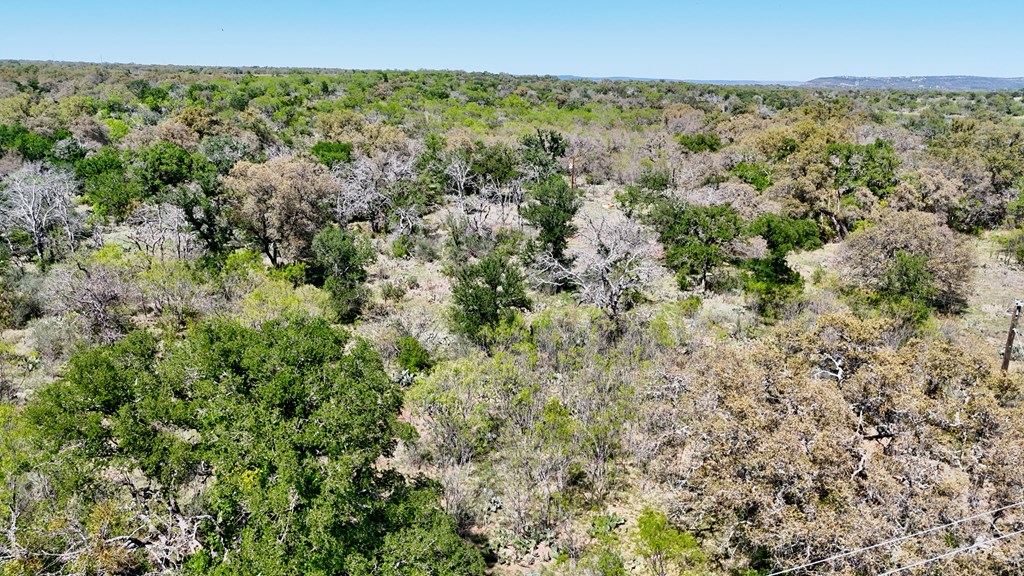 1 Ranch Road 2233 Kingsland, TX 78639 - Photo 22 of 36 a view of a green field with lots of bushes