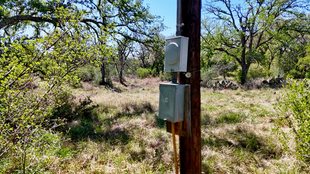 1 Ranch Road 2233 Kingsland, TX 78639 - Photo 24 of 36 a backyard of a house with lots of green space