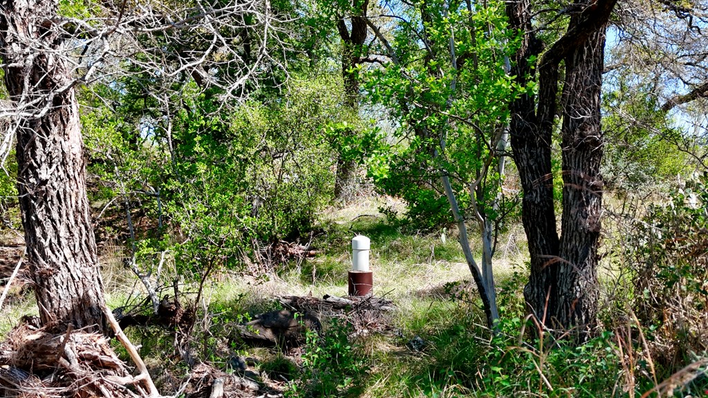 1 Ranch Road 2233 Kingsland, TX 78639 - Photo 26 of 36
