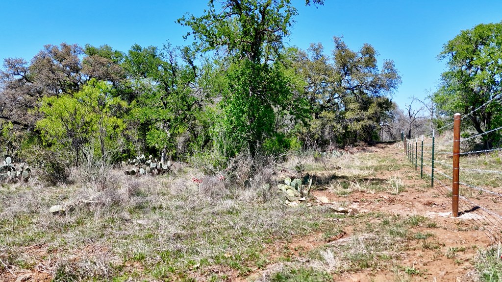 1 Ranch Road 2233 Kingsland, TX 78639 - Photo 28 of 36 a view of a yard covered with trees