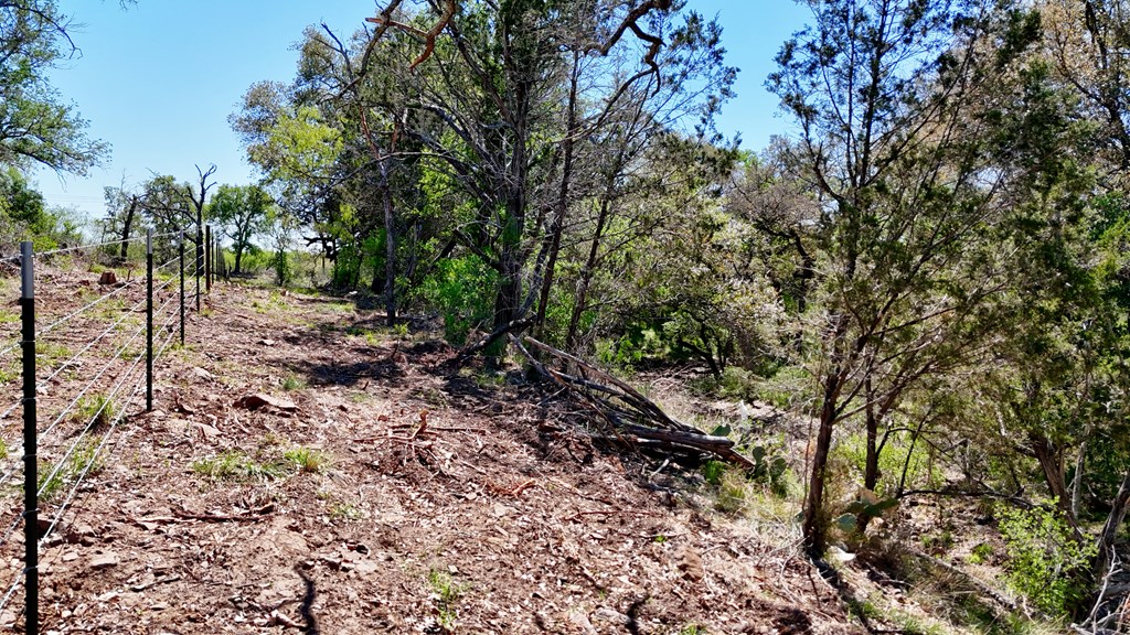 1 Ranch Road 2233 Kingsland, TX 78639 - Photo 30 of 36 a big yard with lots of green space