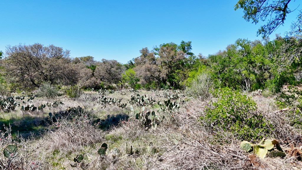 1 Ranch Road 2233 Kingsland, TX 78639 - Photo 31 of 36 a view of a large yard with lots of green space