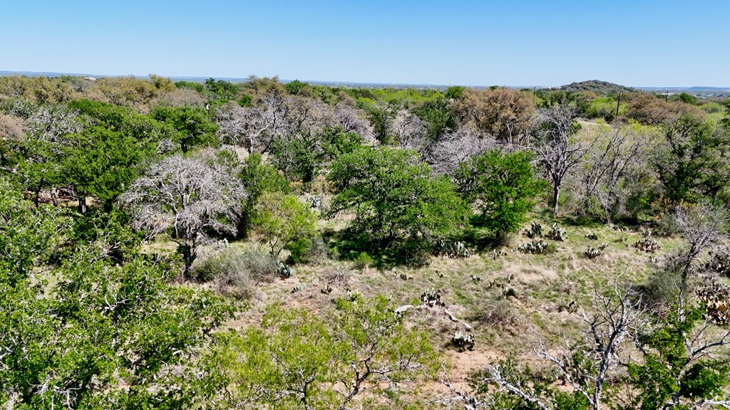 1 Ranch Road 2233 Kingsland, TX 78639 - Photo 33 of 36 a view of a large yard with lots of bushes