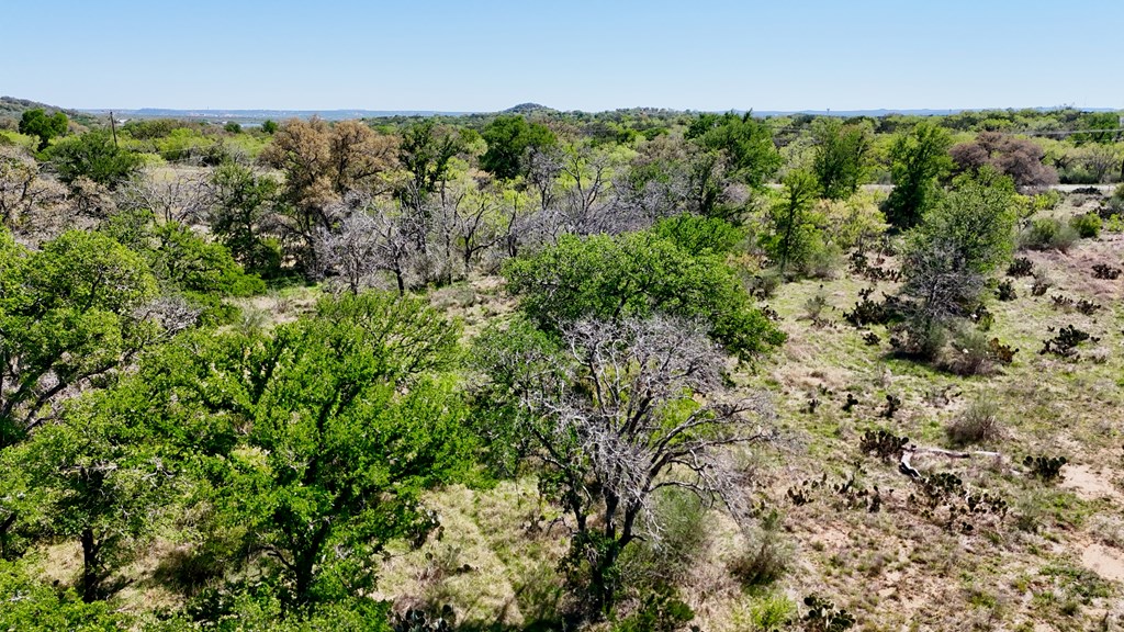 1 Ranch Road 2233 Kingsland, TX 78639 - Photo 34 of 36 a view of a forest with a street