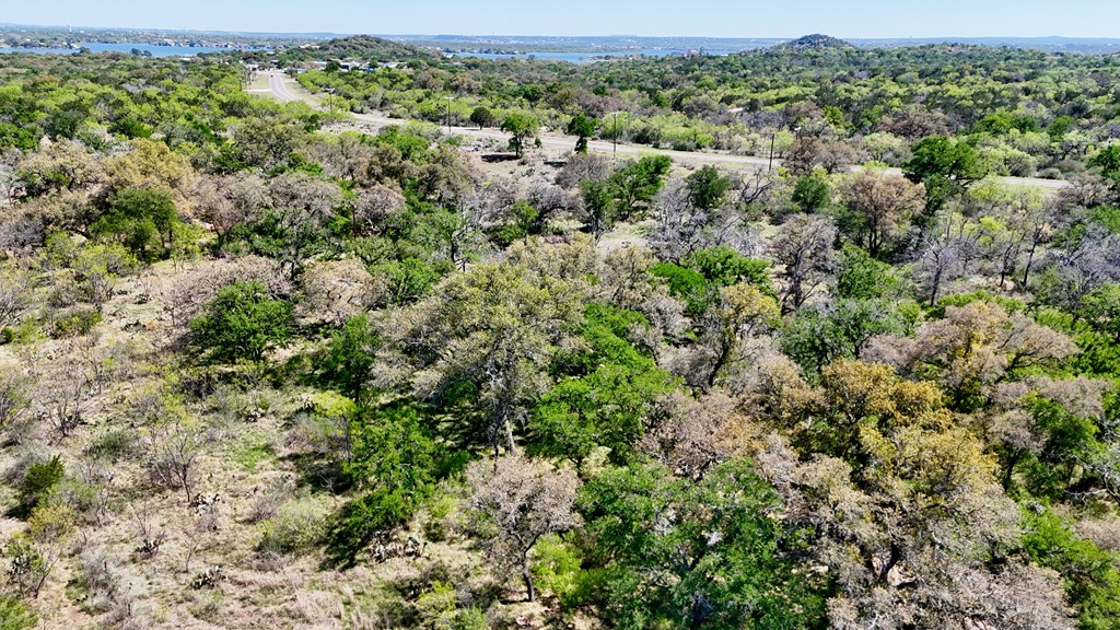 1 Ranch Road 2233 Kingsland, TX 78639 - Photo 35 of 36 an aerial view of residential houses with outdoor space and trees