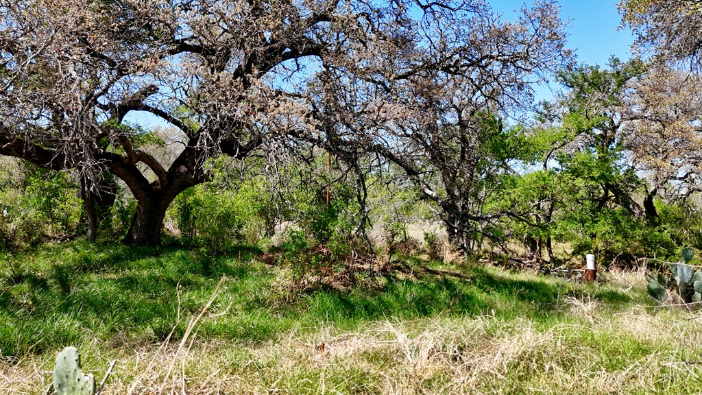1 Ranch Road 2233 Kingsland, TX 78639 - Photo 36 of 36 a backyard of a house with lots of green space
