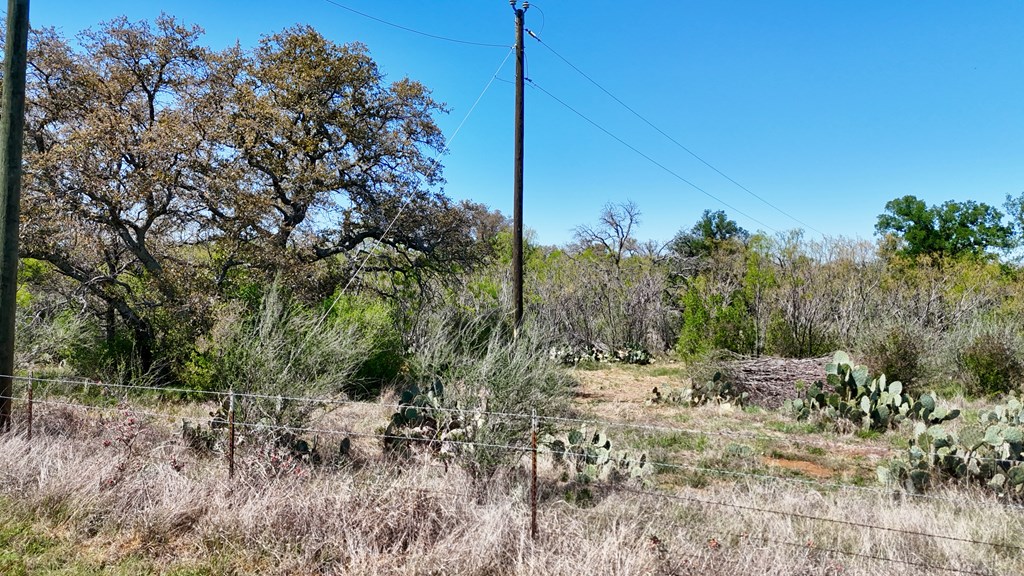 1 Ranch Road 2233 Kingsland, TX 78639 - Photo 4 of 36 a view of a forest filled with trees