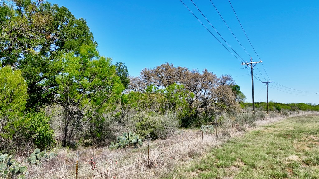1 Ranch Road 2233 Kingsland, TX 78639 - Photo 5 of 36 a view of a yard