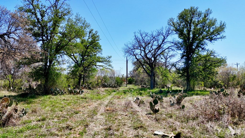 1 Ranch Road 2233 Kingsland, TX 78639 - Photo 7 of 36 a view of a yard with plants and trees