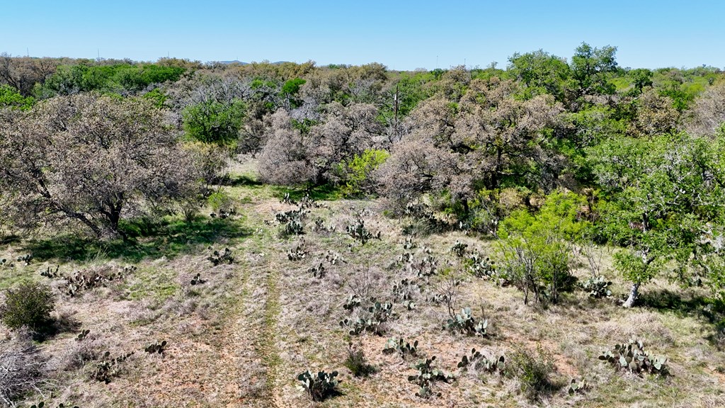 1 Ranch Road 2233 Kingsland, TX 78639 - Photo 8 of 36 a view of a dry yard with trees