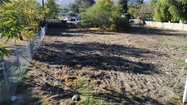 a view of a yard with plants and trees