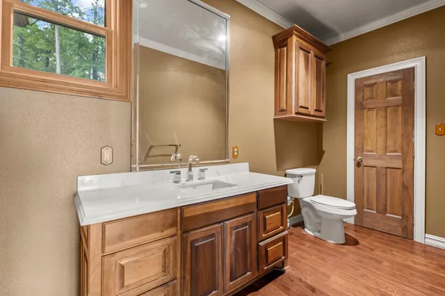a bathroom with a sink vanity mirror and toilet