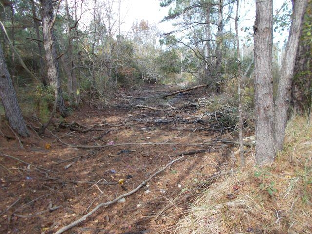 12230 Bay Road West Foley, AL 36535 - Photo 15 of 26