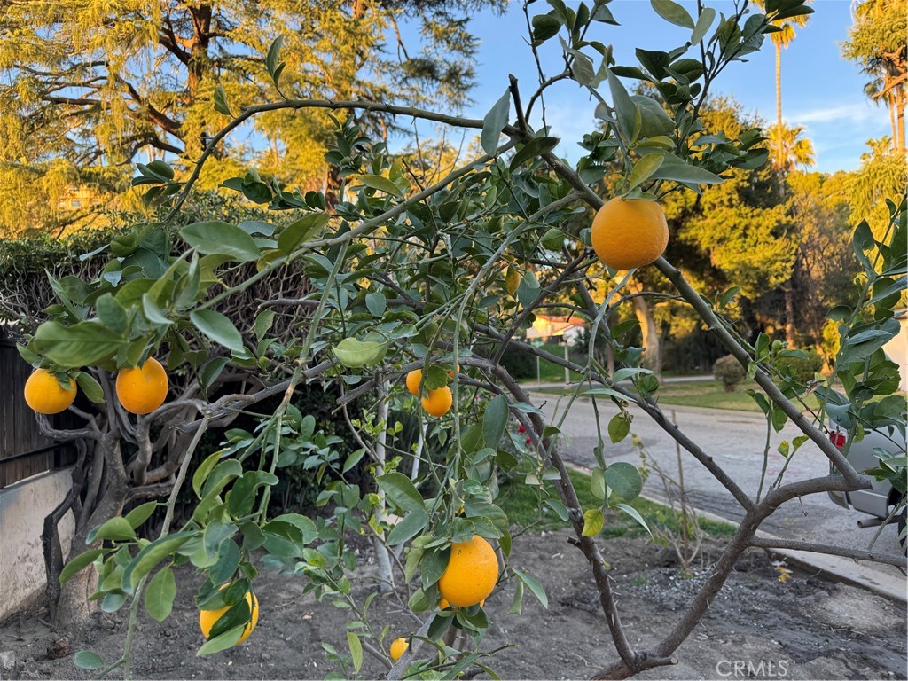 857 West Edgehill Road, Unit 2 San Bernardino, CA 92405 - Photo 20 of 22