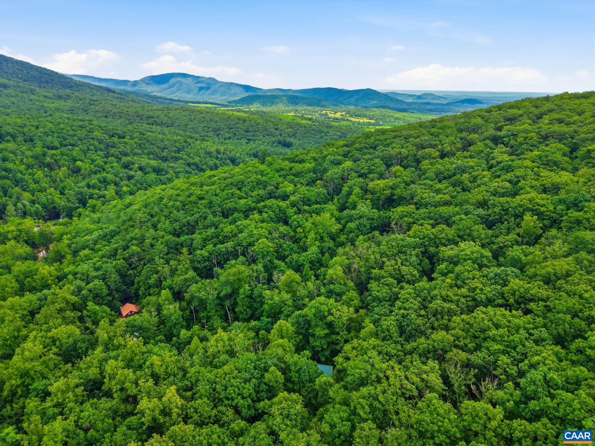 974 Bull Yearling Road Stanardsville, VA 22973 - Photo 51 of 65