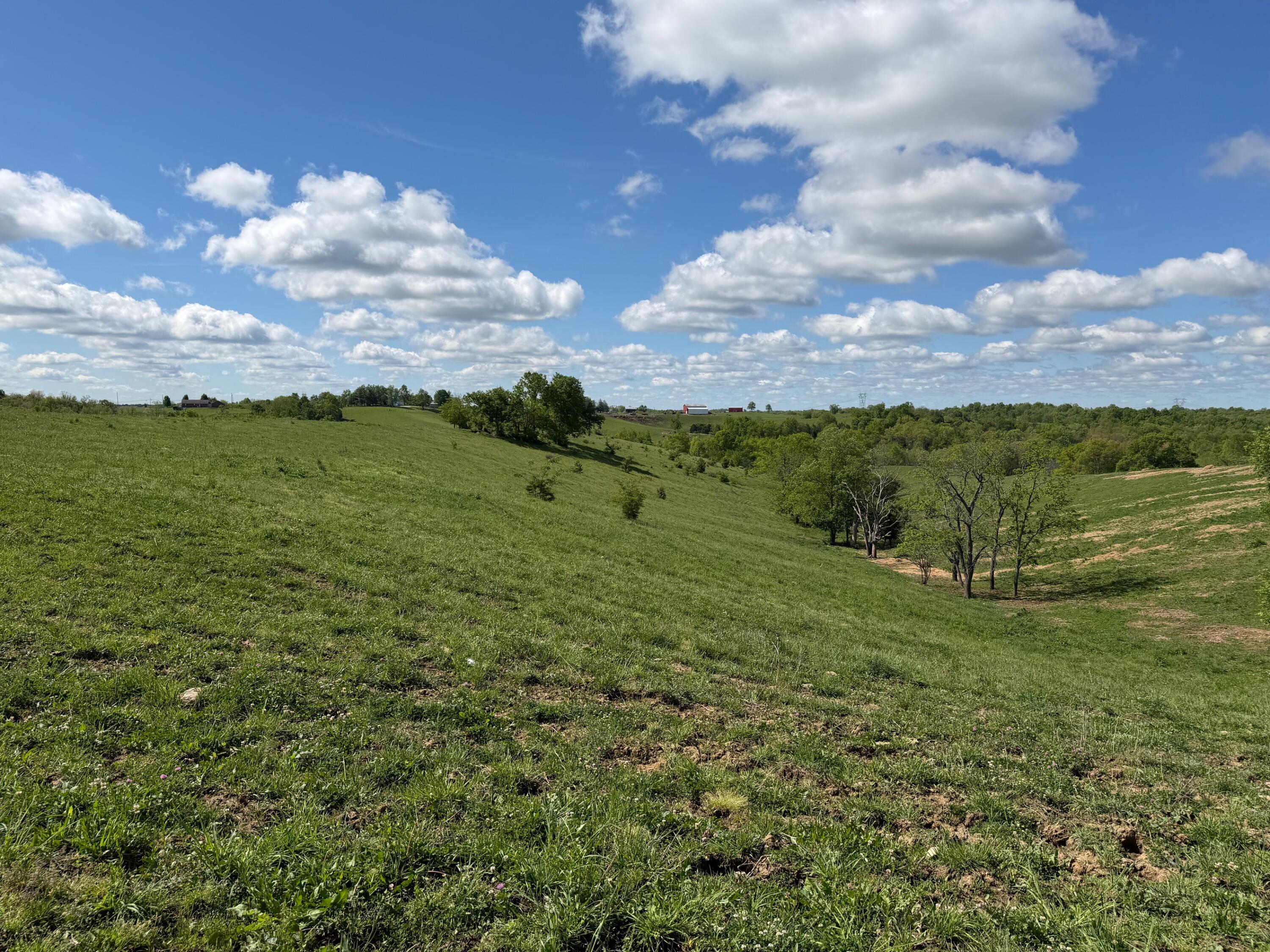 24.81-ac Chipman Ridge Road Williamstown, KY 41097 - Photo 5 of 17
