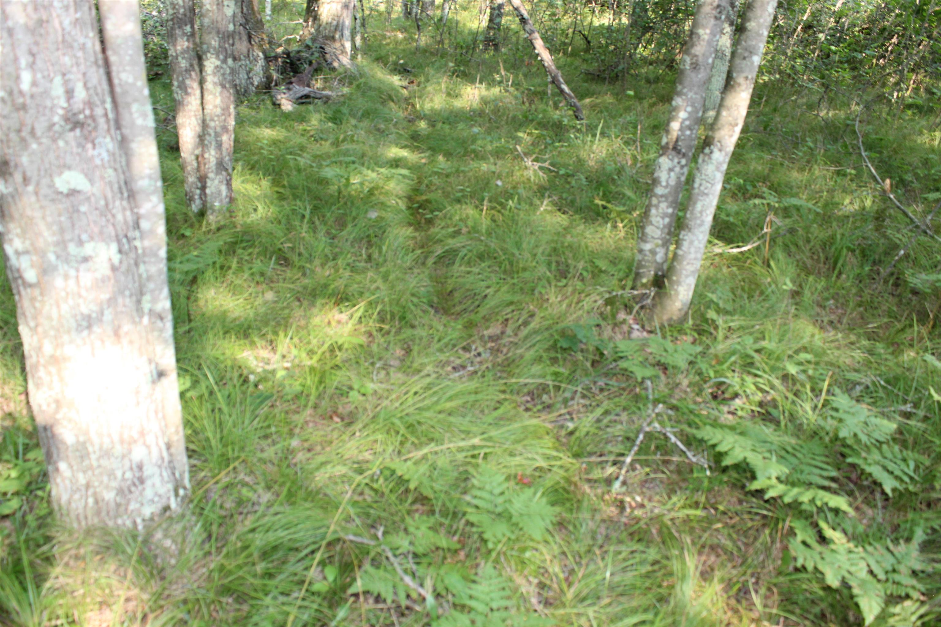 Sikowski Lane Crivitz, WI 54114 - Photo 2 of 5