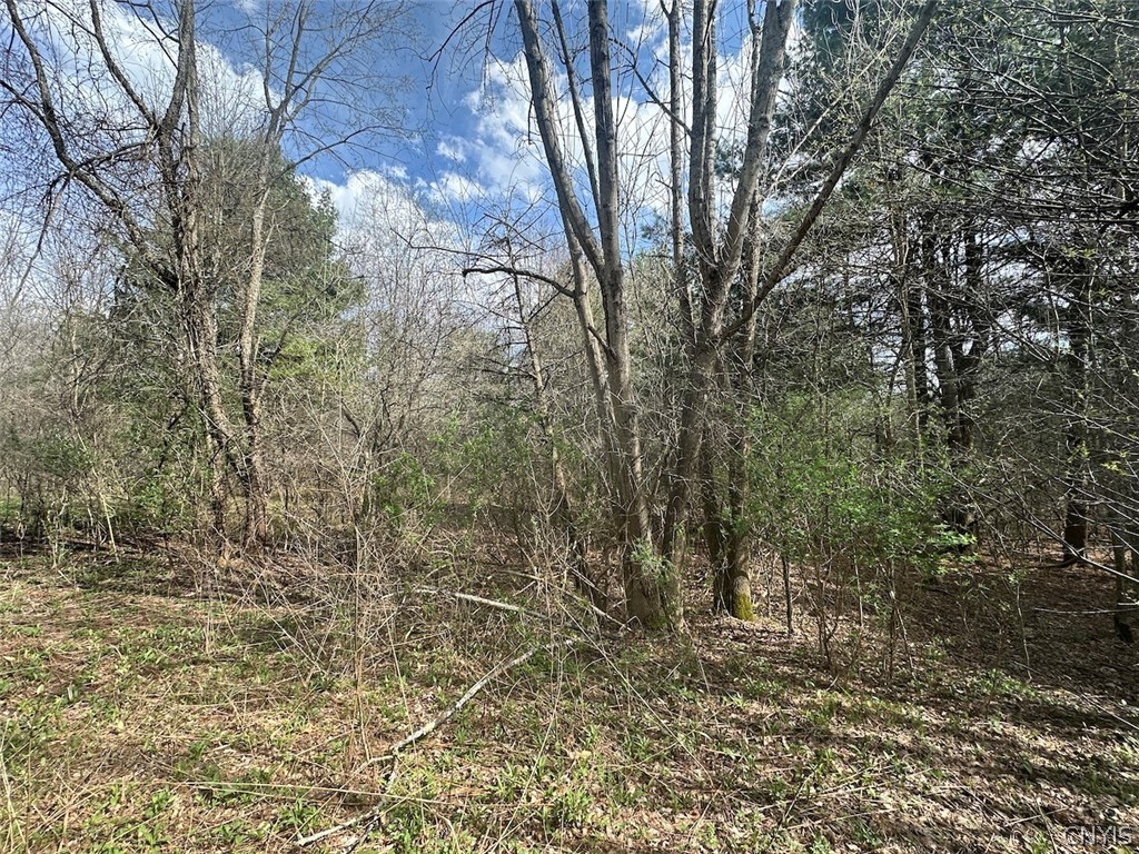 Pigtail Road Friendship, NY 14739 - Photo 10 of 11