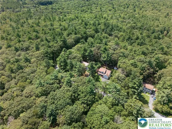 a view of a forest with a houses and forest