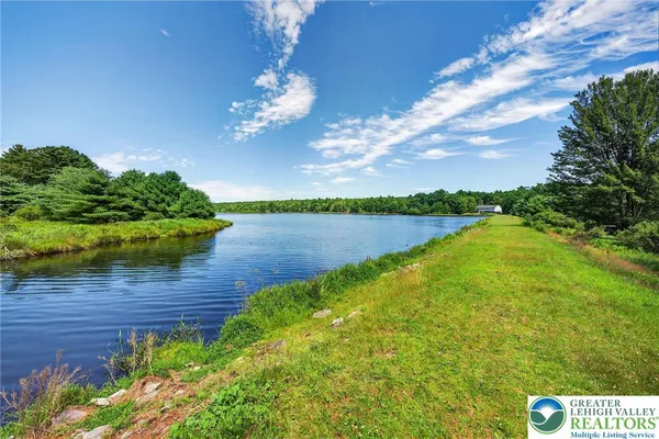a view of a park with large trees