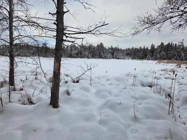 9606 Munger Road Afton, MI 49705 - Photo 20 of 44 winter pond