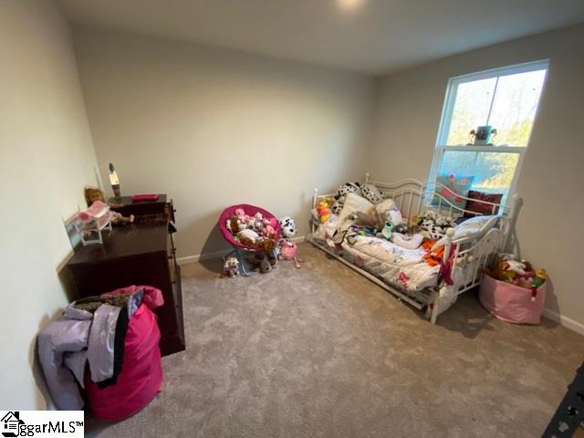 168 Queens Mill Court Pendleton, SC 29670 - Photo 27 of 30