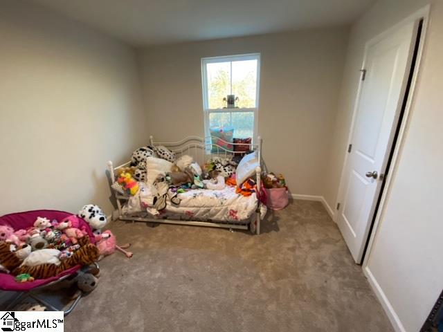 168 Queens Mill Court Pendleton, SC 29670 - Photo 28 of 30