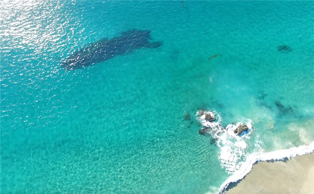 106 Blue Lagoon Laguna Beach, CA 92651 - Photo 36 of 46 a view of a flower in a garden