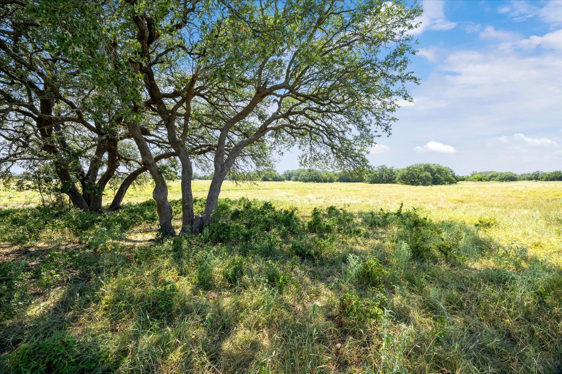 243 Bertram Tx 78605 Bertram, TX 78605 - Photo 1 of 27 a view of yard with large trees and plants
