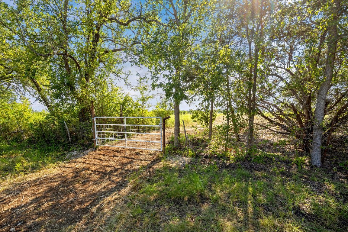 243 Bertram Tx 78605 Bertram, TX 78605 - Photo 11 of 27 a view of a yard with plants and large trees