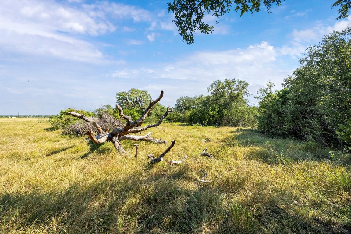 243 Bertram Tx 78605 Bertram, TX 78605 - Photo 12 of 27 a view of a yard with a house in the background