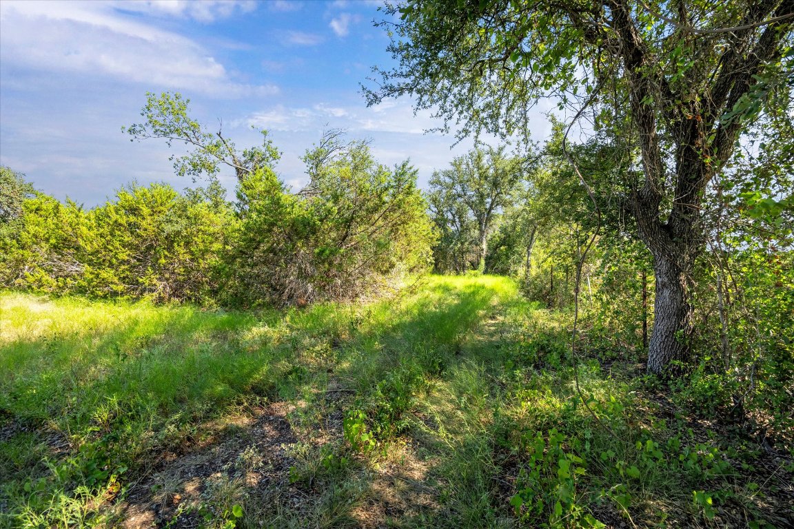 243 Bertram Tx 78605 Bertram, TX 78605 - Photo 16 of 27 a view of a garden