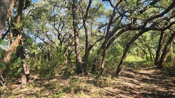 $1,499,000 | 243 Bertram Tx 78605, Bertram, TX 78605