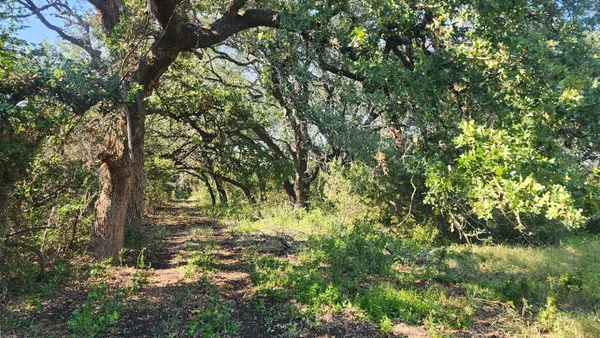 $1,499,000 | 243 Bertram Tx 78605, Bertram, TX 78605