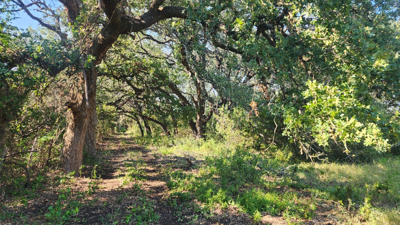 243 Bertram Tx 78605 Bertram, TX 78605 - Photo 26 of 27