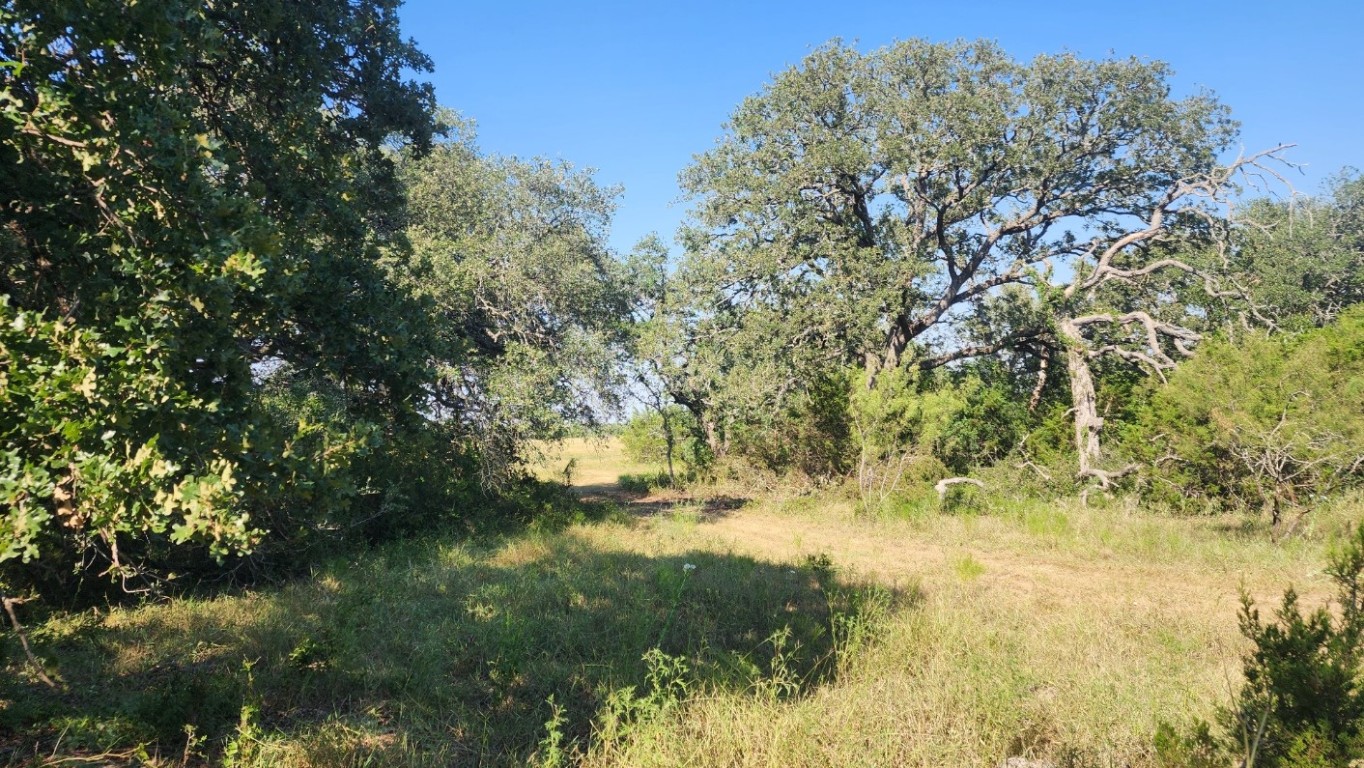 243 Bertram Tx 78605 Bertram, TX 78605 - Photo 27 of 27 a view of lake view