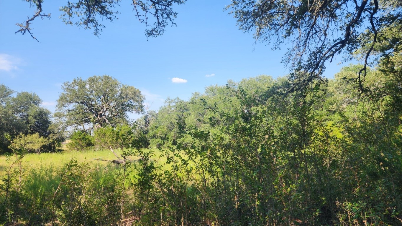 243 Bertram Tx 78605 Bertram, TX 78605 - Photo 3 of 27 a view of a lake