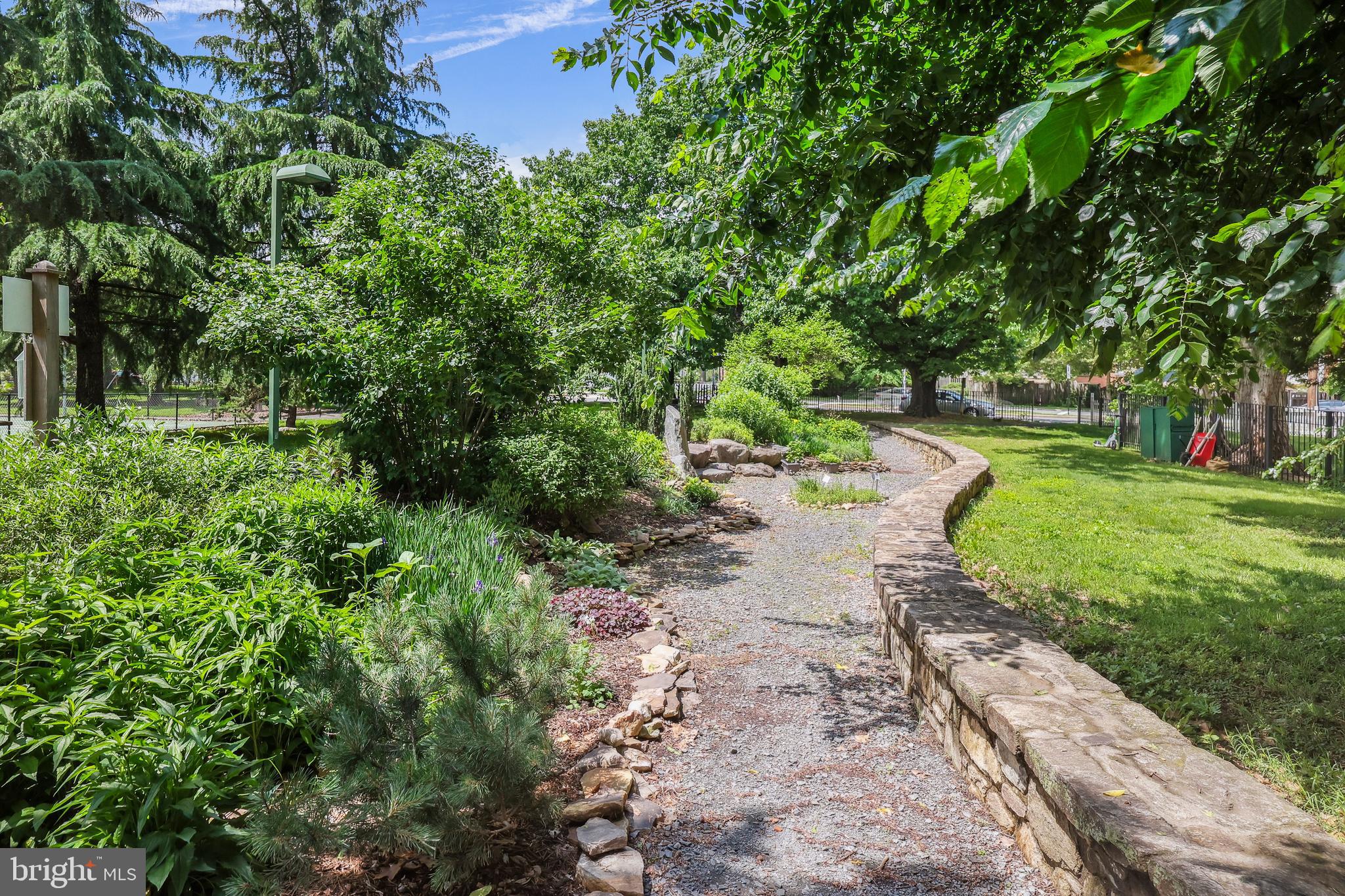 2600 16th Street South, Unit 711 Arlington, VA 22204 - Photo 22 of 27 a view of a yard with plants and large trees