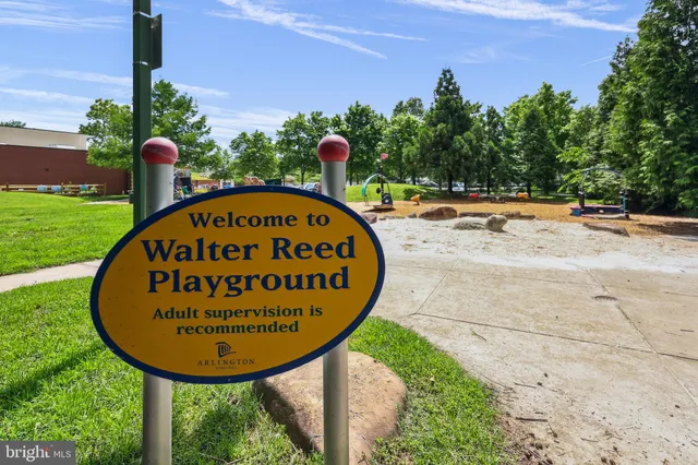 a view of a park with a park