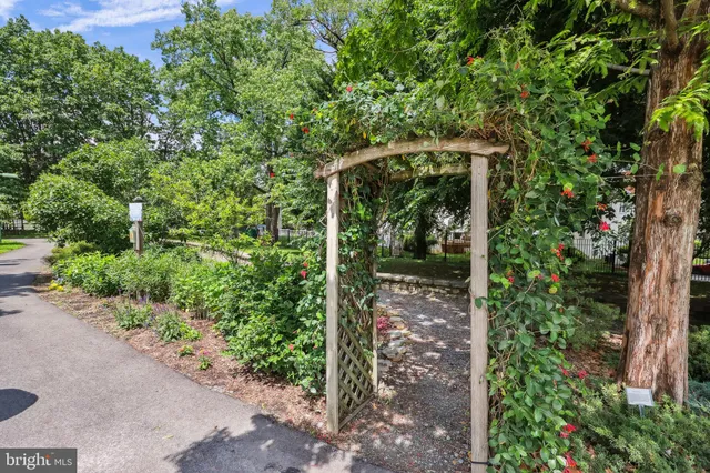 a view of a pathway of a garden