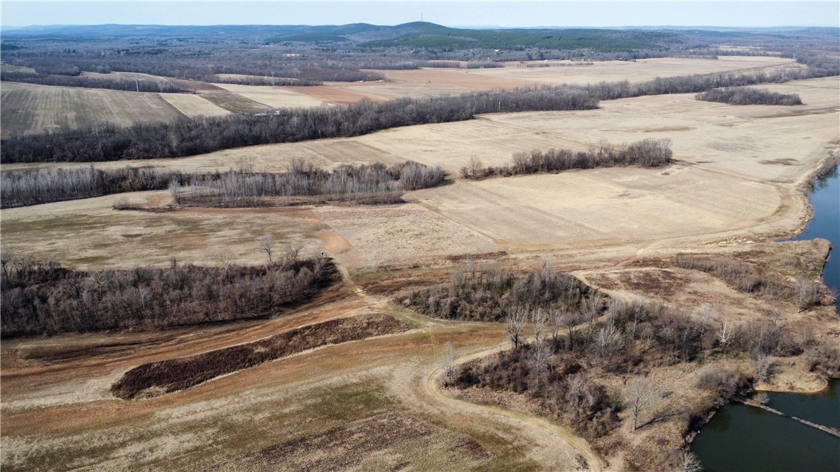 300 Highway 300 Road Roland, AR 72135 - Photo 6 of 28 Gallery Image 6