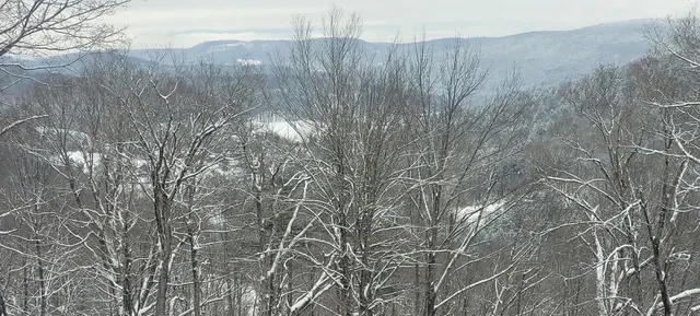 $845,000 | 403 Horse Shoe Way, Woodstock, VT 05071